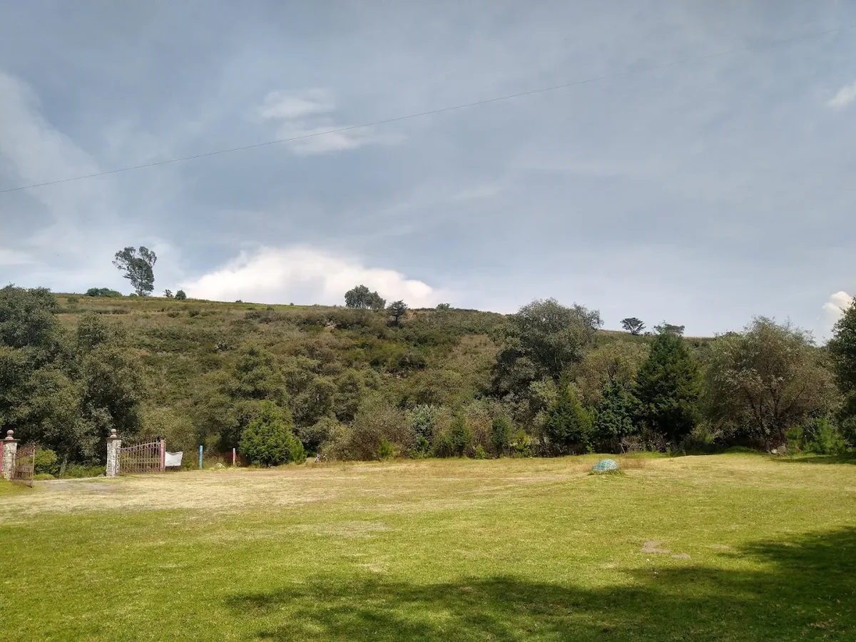 Jardín exterior Los Ahilites