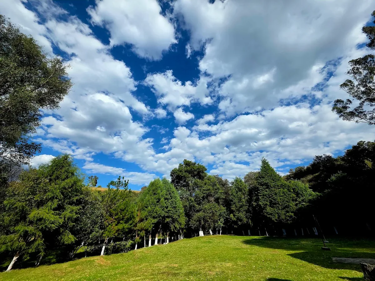 Jardín con vegetación